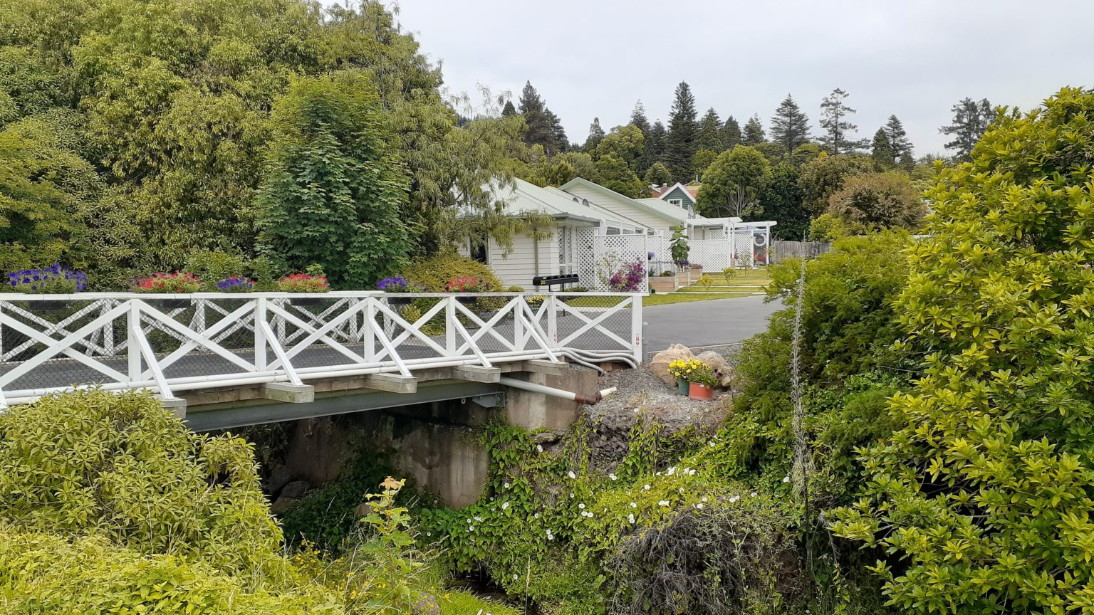 Bruce Terrace Cottages Our Social Housing